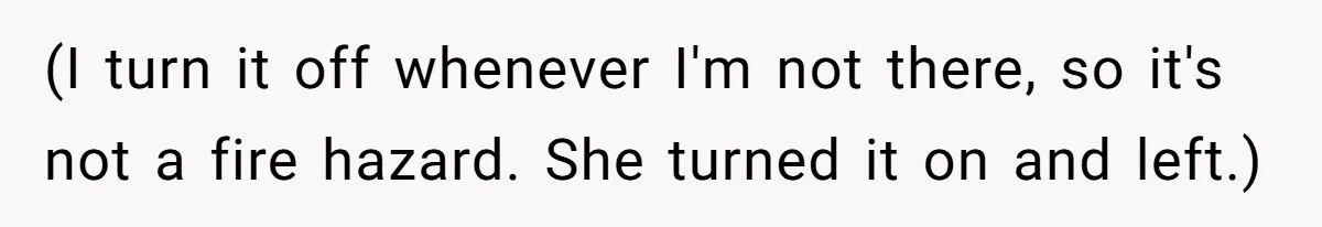 (I turn it off whenever I'm not there, so it's not a fire hazard. She turned it on and left.)