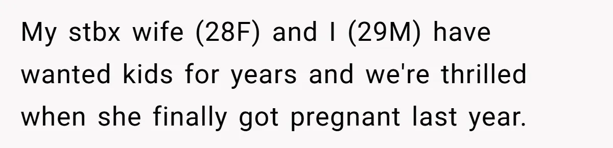 My stbx wife (28F) and I (29M) have wanted kids for years and we're thrilled when she finally got pregnant last year.