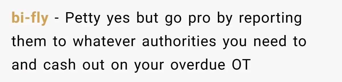 bi-fly − Petty yes but go pro by reporting them to whatever authorities you need to and cash out on your overdue OT