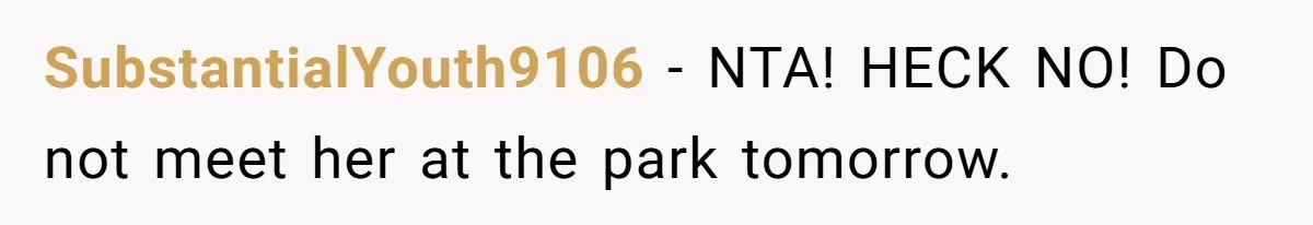 SubstantialYouth9106 − NTA! HECK NO! Do not meet her at the park tomorrow.