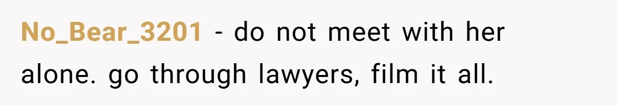 No_Bear_3201 − do not meet with her alone. go through lawyers, film it all.