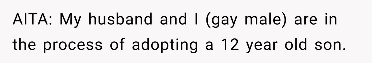 Father Calls Out Son’s Ugly Behavior, Husband Gets Mad About “Tone” In Front Of In-Laws AITA: My husband and I (gay male) are in the process of adopting a 12 year old son.