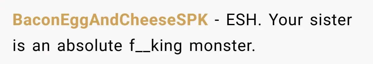 Sister Claims Her Daughter Is The “Only Star,” Brother Pushes Back And She Explodes BaconEggAndCheeseSPK − ESH. Your sister is an absolute f__king monster.