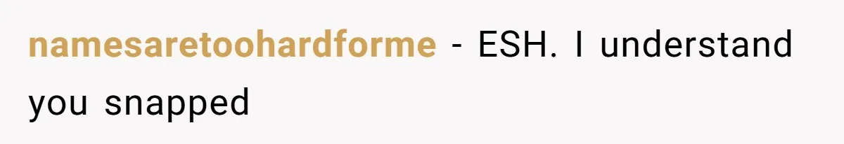 Sister Claims Her Daughter Is The “Only Star,” Brother Pushes Back And She Explodes namesaretoohardforme − ESH. I understand you snapped