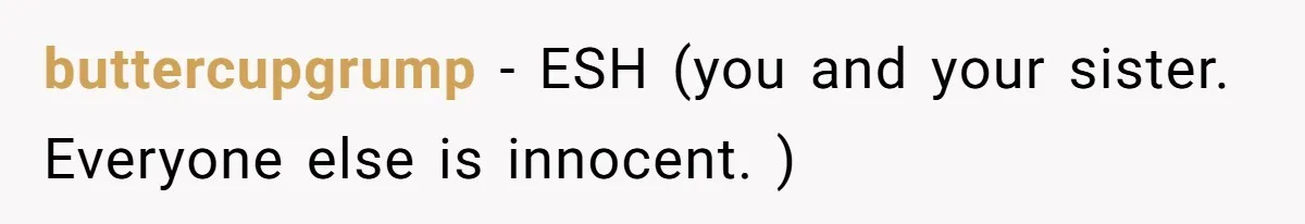Sister Claims Her Daughter Is The “Only Star,” Brother Pushes Back And She Explodes buttercupgrump − ESH (you and your sister. Everyone else is innocent. )