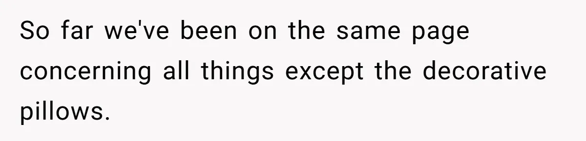 So far we've been on the same page concerning all things except the decorative pillows.