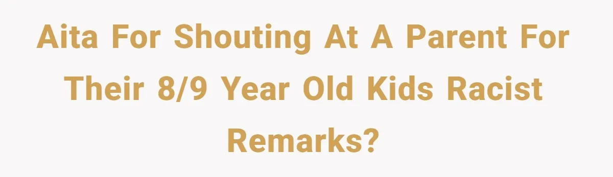 AITA for shouting at a parent for their 8/9 year old kids racist remarks?