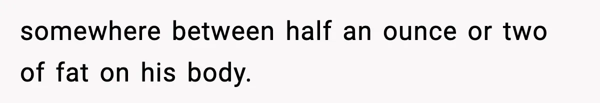 somewhere between half an ounce or two of fat on his body.