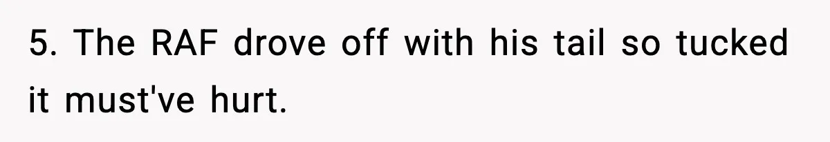 5. The RAF drove off with his tail so tucked it must've hurt.