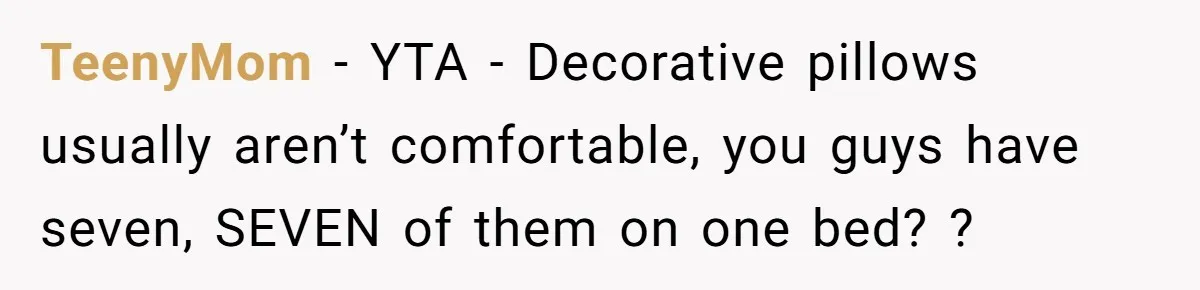 TeenyMom − YTA - Decorative pillows usually aren’t comfortable, you guys have seven, SEVEN of them on one bed? ?