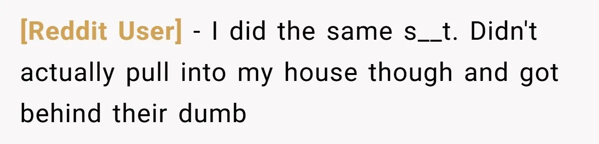 [Reddit User] − I did the same s__t. Didn't actually pull into my house though and got behind their dumb