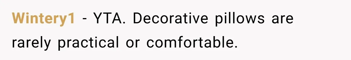 Wintery1 − YTA. Decorative pillows are rarely practical or comfortable.