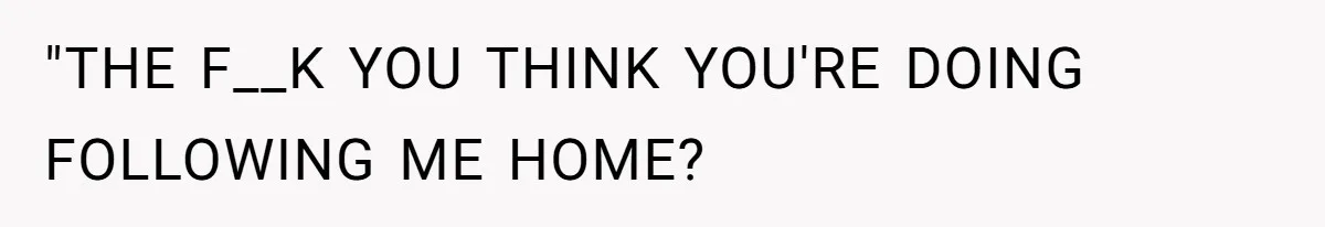 "THE F__K YOU THINK YOU'RE DOING FOLLOWING ME HOME?