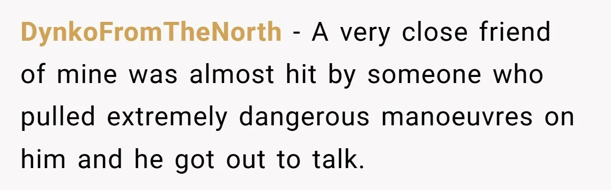 DynkoFromTheNorth − A very close friend of mine was almost hit by someone who pulled extremely dangerous manoeuvres on him and he got out to talk.