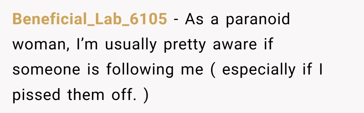 Beneficial_Lab_6105 − As a paranoid woman, I’m usually pretty aware if someone is following me ( especially if I pissed them off. )