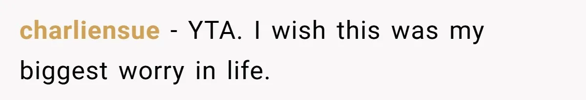 charliensue − YTA. I wish this was my biggest worry in life.