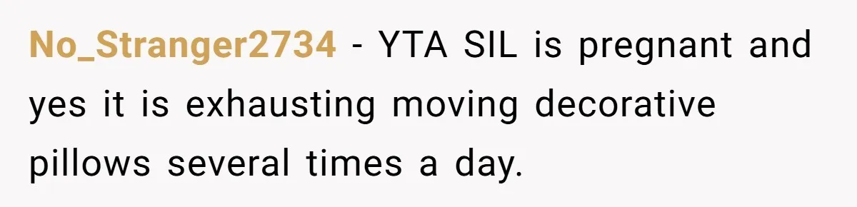No_Stranger2734 − YTA SIL is pregnant and yes it is exhausting moving decorative pillows several times a day.