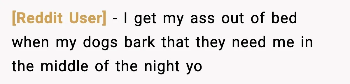 [Reddit User] − I get my ass out of bed when my dogs bark that they need me in the middle of the night yo