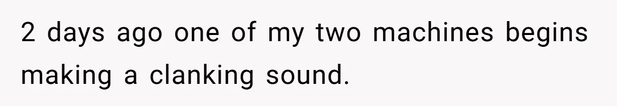 2 days ago one of my two machines begins making a clanking sound.