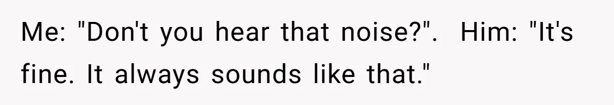 Me: "Don't you hear that noise?".  Him: "It's fine. It always sounds like that."