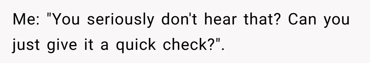 Me: "You seriously don't hear that? Can you just give it a quick check?".