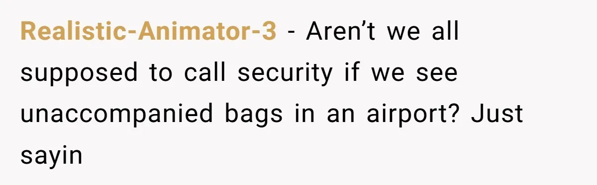Realistic-Animator-3 − Aren’t we all supposed to call security if we see unaccompanied bags in an airport? Just sayin