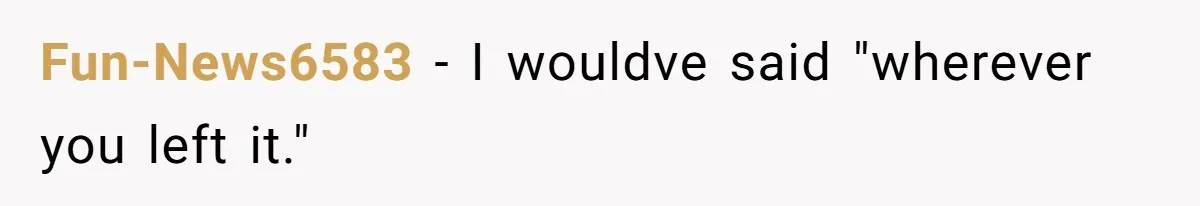Fun-News6583 − I wouldve said "wherever you left it."