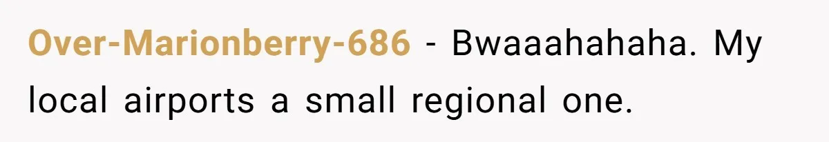 Over-Marionberry-686 − Bwaaahahaha. My local airports a small regional one.