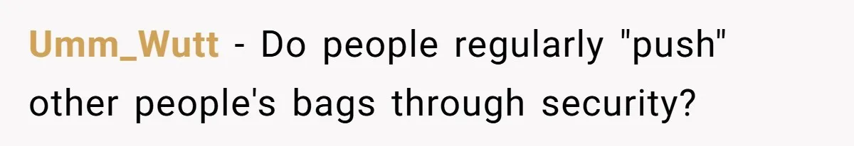 Umm_Wutt − Do people regularly "push" other people's bags through security?