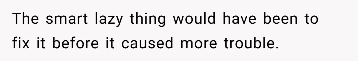 The smart lazy thing would have been to fix it before it caused more trouble.