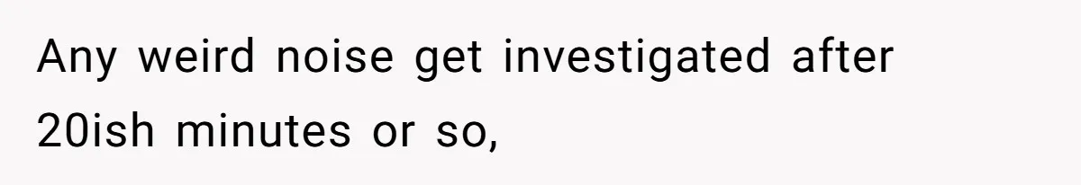Any weird noise get investigated after 20ish minutes or so,