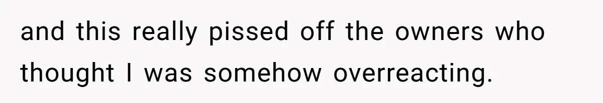 and this really pissed off the owners who thought I was somehow overreacting.