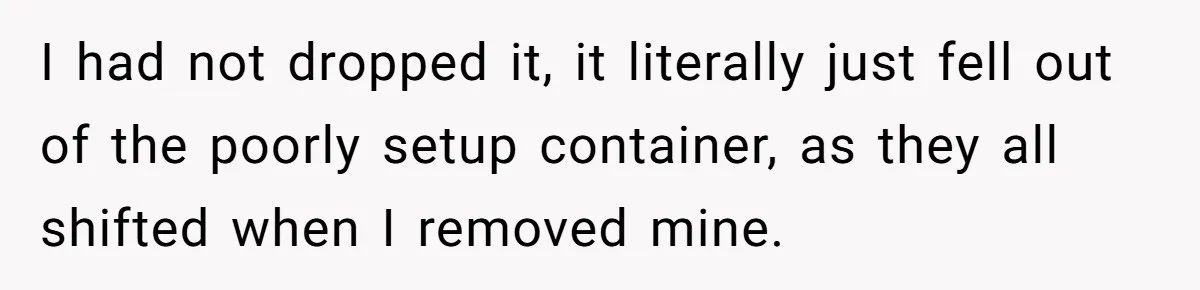 I had not dropped it, it literally just fell out of the poorly setup container, as they all shifted when I removed mine.