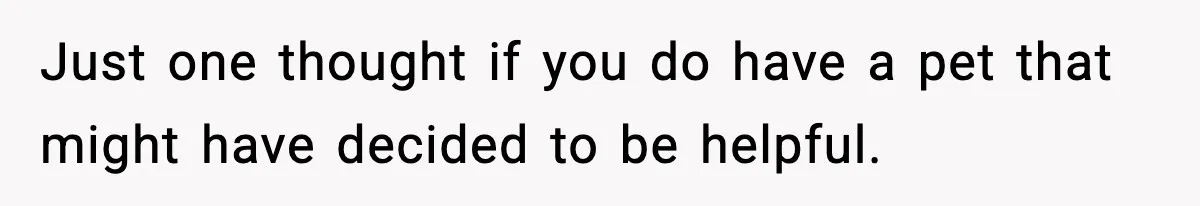 Just one thought if you do have a pet that might have decided to be helpful.