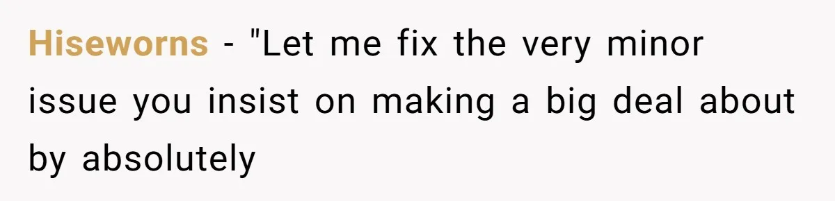 Hiseworns − "Let me fix the very minor issue you insist on making a big deal about by absolutely