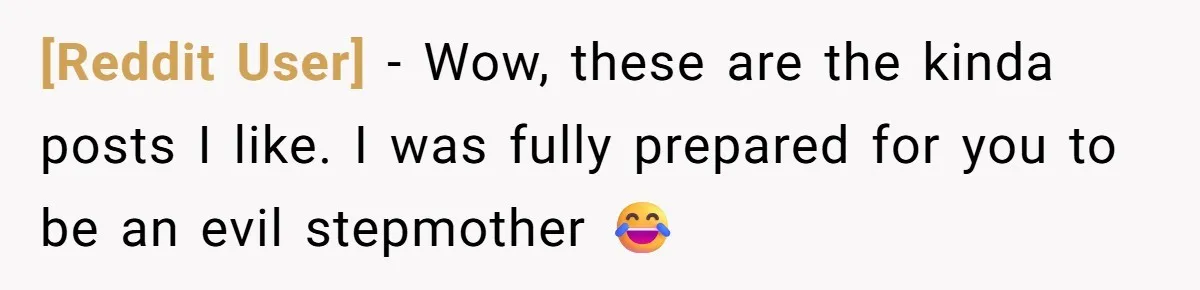[Reddit User] − Wow, these are the kinda posts I like. I was fully prepared for you to be an evil stepmother 😂