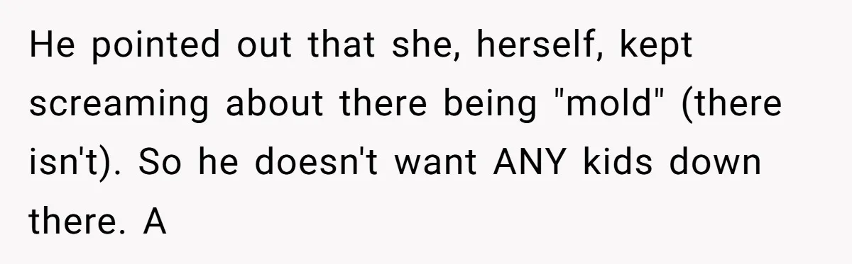 Woman Transforms Creepy Basement Into Dream Retreat Only For Sister’s Kids To Overrun It He pointed out that she, herself, kept screaming about there being "mold" (there isn't). So he doesn't want ANY kids down there. A