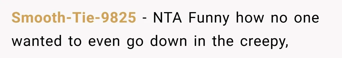 Woman Transforms Creepy Basement Into Dream Retreat Only For Sister’s Kids To Overrun It Smooth-Tie-9825 − NTA Funny how no one wanted to even go down in the creepy,