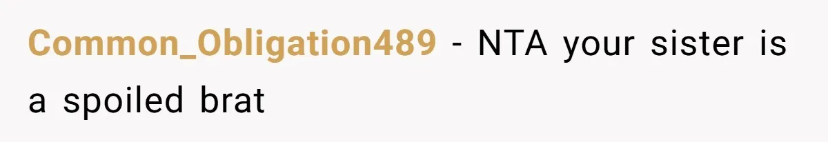 Woman Transforms Creepy Basement Into Dream Retreat Only For Sister’s Kids To Overrun It Common_Obligation489 − NTA your sister is a spoiled brat