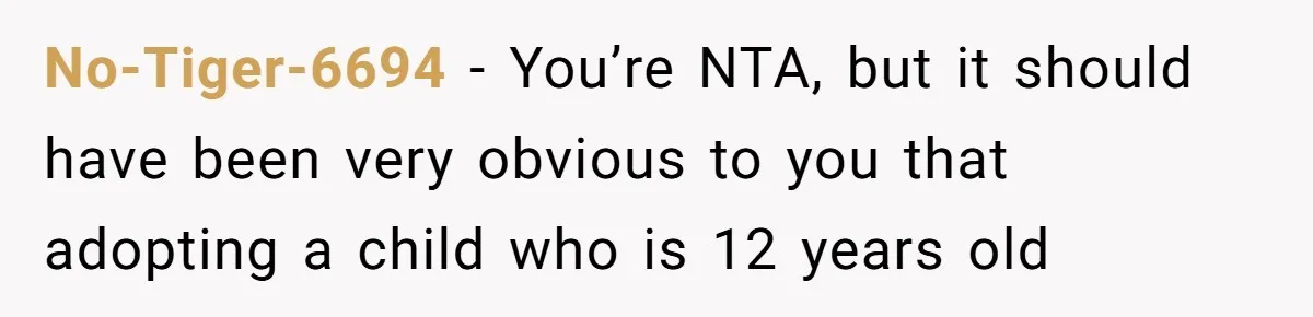 Father Calls Out Son’s Ugly Behavior, Husband Gets Mad About “Tone” In Front Of In-Laws No-Tiger-6694 − You’re NTA, but it should have been very obvious to you that adopting a child who is 12 years old