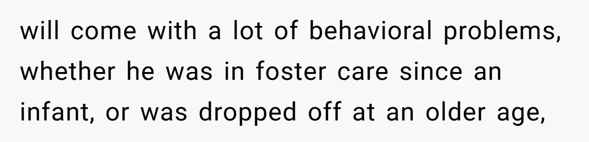 Father Calls Out Son’s Ugly Behavior, Husband Gets Mad About “Tone” In Front Of In-Laws will come with a lot of behavioral problems, whether he was in foster care since an infant, or was dropped off at an older age,