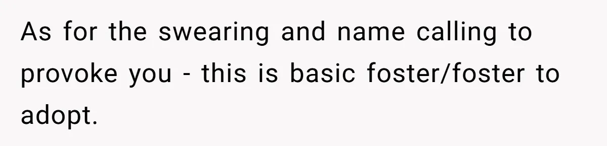 Father Calls Out Son’s Ugly Behavior, Husband Gets Mad About “Tone” In Front Of In-Laws As for the swearing and name calling to provoke you - this is basic foster/foster to adopt.