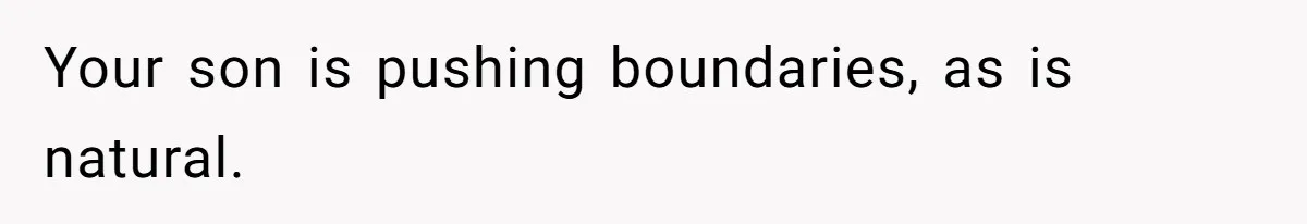 Father Calls Out Son’s Ugly Behavior, Husband Gets Mad About “Tone” In Front Of In-Laws Your son is pushing boundaries, as is natural.