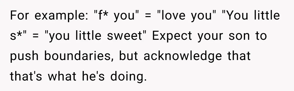 Father Calls Out Son’s Ugly Behavior, Husband Gets Mad About “Tone” In Front Of In-Laws For example: "f* you" = "love you" "You little s*" = "you little sweet" Expect your son to push boundaries, but acknowledge that that's what he's doing.