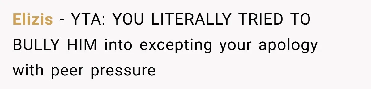Elizis − YTA: YOU LITERALLY TRIED TO BULLY HIM into excepting your apology with peer pressure