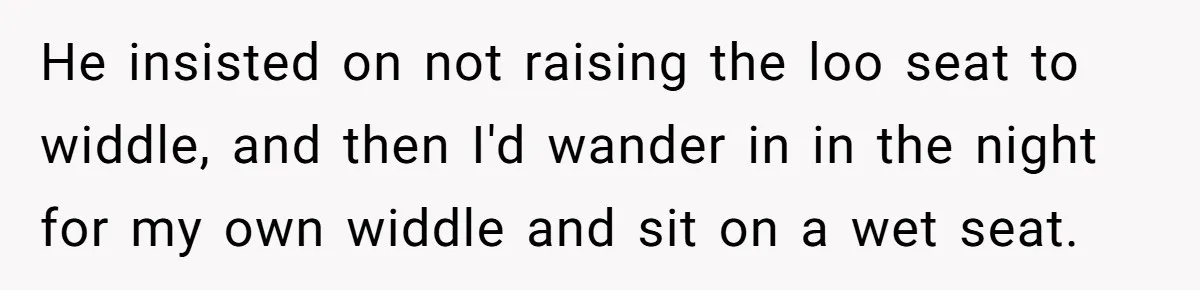 He insisted on not raising the loo seat to widdle, and then I'd wander in in the night for my own widdle and sit on a wet seat.