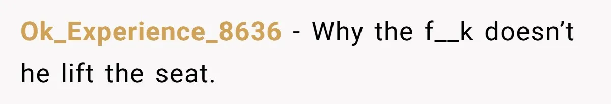 Ok_Experience_8636 − Why the f__k doesn’t he lift the seat.