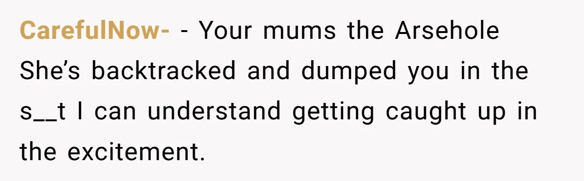 CarefulNow- − Your mums the Arsehole She’s backtracked and dumped you in the s__t I can understand getting caught up in the excitement.