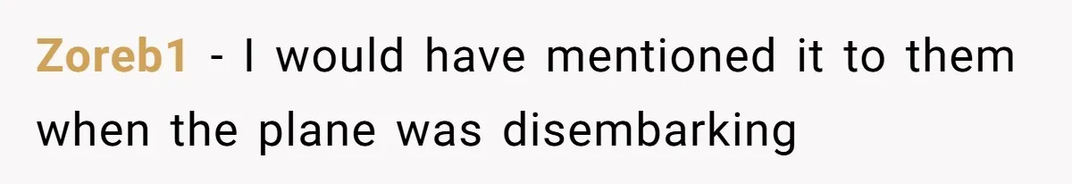 Zoreb1 − I would have mentioned it to them when the plane was disembarking