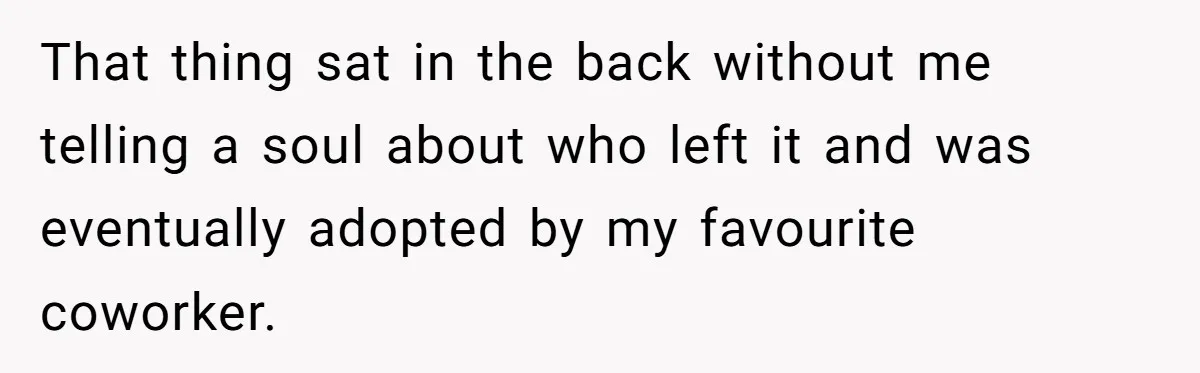 That thing sat in the back without me telling a soul about who left it and was eventually adopted by my favourite coworker.